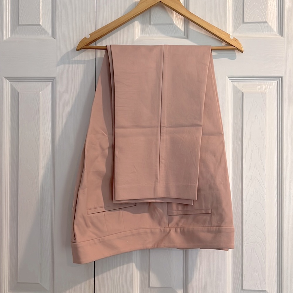 New, never worn Ann Taylor Factory pants, size 16, blush pink